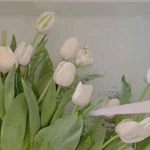 迟来的情话
