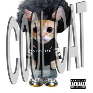 CoolCat