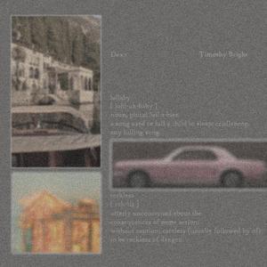 LULLABY FOR THE RECKLESS (feat. Timothy Bright)