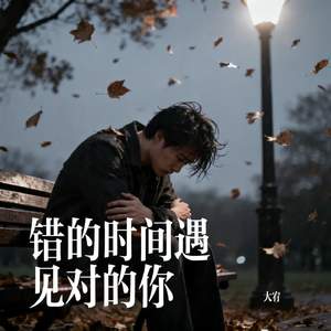 错的时间遇见对的你