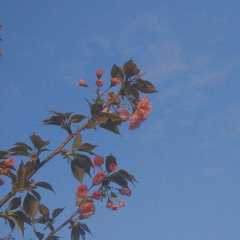 起风了  钢琴曲