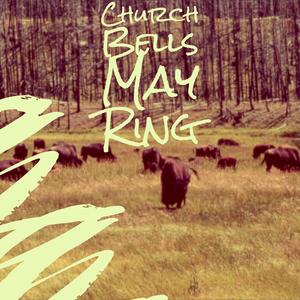 A Walk In The Black Forest