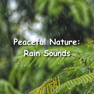 ASMR Rain Sounds