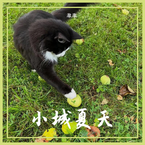 小城夏天(cover LBI利比)