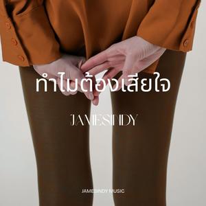 ทำไมต้องเสียใจ