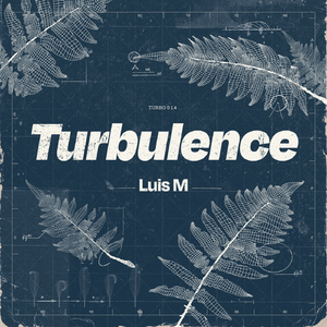 Turbulence (Extended Mix)