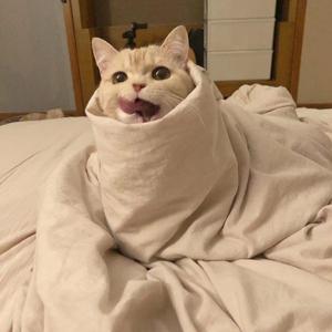 当船遇上波浪 伴奏