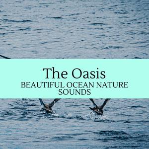 Colorful Blessing From Rain Water