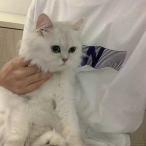 失落