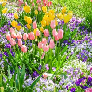 那些花儿（朴树）