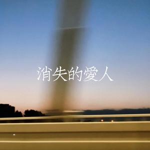 消失的爱人