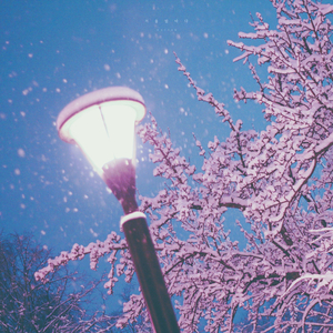 잔잔한 노래 (겨울밤바다)