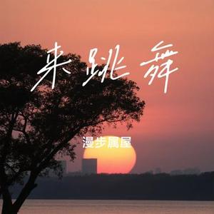 来跳舞 (Cover 海来阿木)