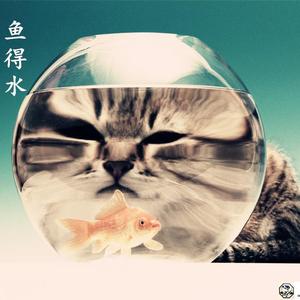 《鱼得水》