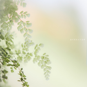 삶이 힘들고 지칠때