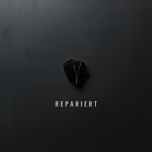 Repariert
