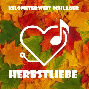 Eine Träne ist das einzigste, was blieb (Radio Edit)