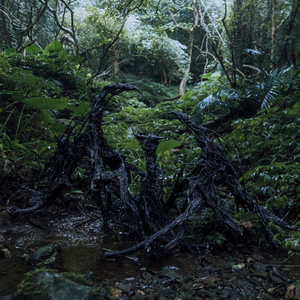 one without a second