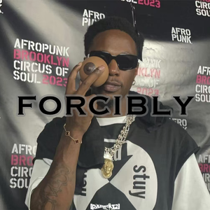 Free 采样 x Boombap type beat “Forcibly”