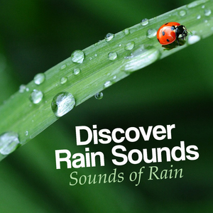 Late Summer Downpour