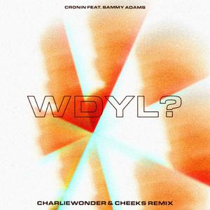 WDYL? (feat. Sammy Adams) (CharlieWonder & CHEEKS Remix)