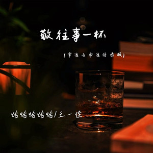 敬往事一杯 (幸运与命运语录版)