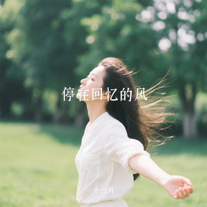 停在回忆的风