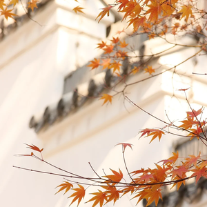 如果你也这样过