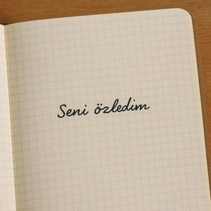 Seni Özledim