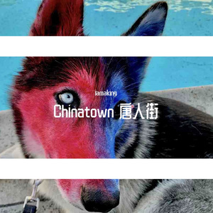 chinatown 唐人街