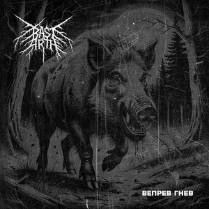 Вепрев гнев