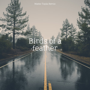 Birds of a Feather House (Remix)