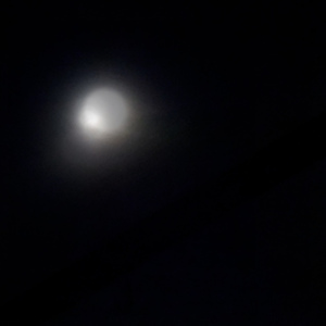 Moonlit