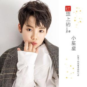 红旗上的小星星