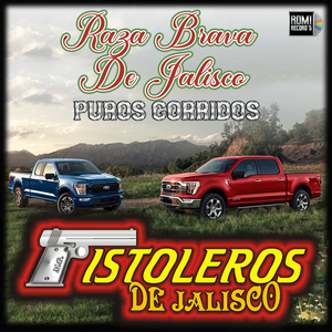 Los Soplones