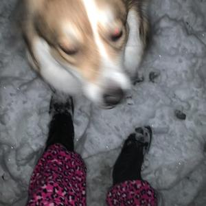 lying ass ***** (feat. avah)