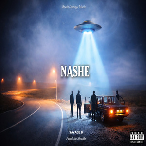 nashe