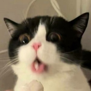 Nature White Noise for Anxiety Relief