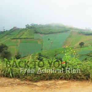 Viola (Instrumental) (Instrumental)