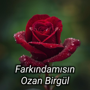 Farkındamısın