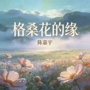 格桑花的缘