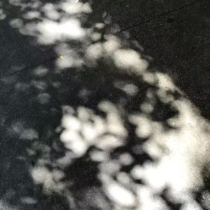 自以为得计的高能派对狂想