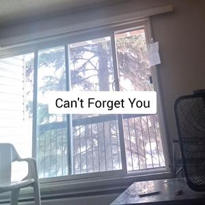 Can't Forget You