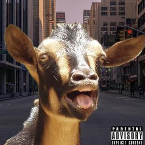 领头羊Intro（都匀话）