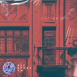 【FREE BEAT】B15-VIC3551｜Boombap Type Beat