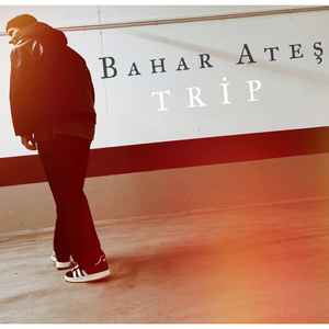 Trip