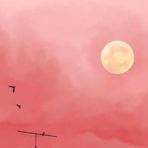 For you（prod.by澜）