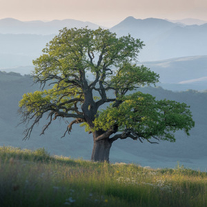 거울 안 거짓된 상상