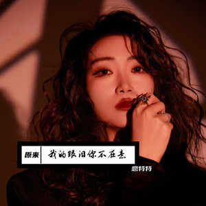 原来我的眼泪你不在意 (DJ默涵版)