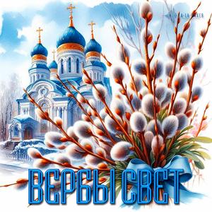 Вербы свет